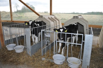 Holm & Laue Pro II Calf-Tel & FlexyFence