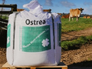 Ostrea Rumen Buffer