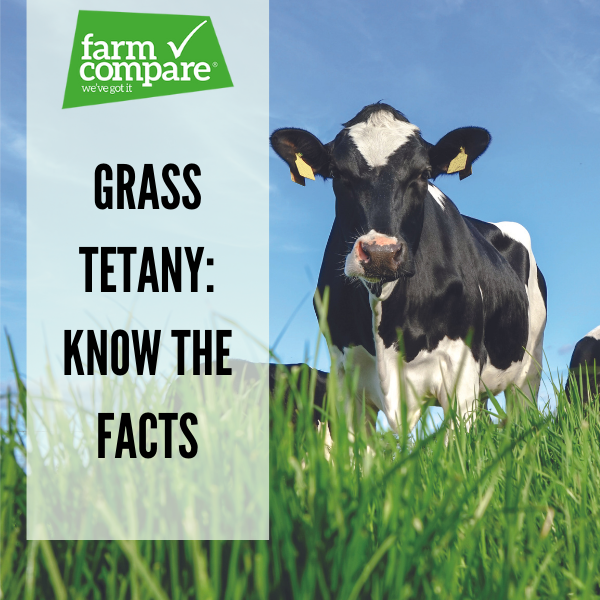 Grass Tetany, know the facts