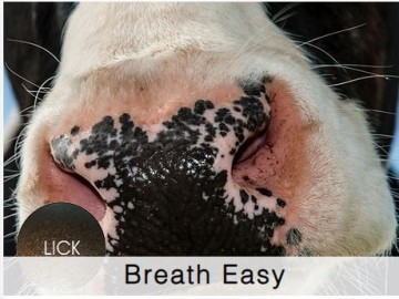 Shamrock Dairy Breath Easy