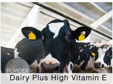Shamrock Dairy Special Plus High Vitamin E