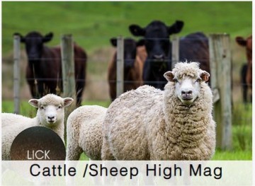 Shamrock Cattle/Sheep High Mag