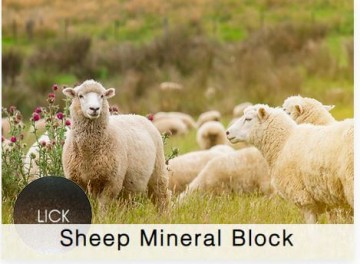 Shamrock Sheep Mineral Block