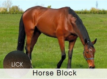 Shamrock Horse Block