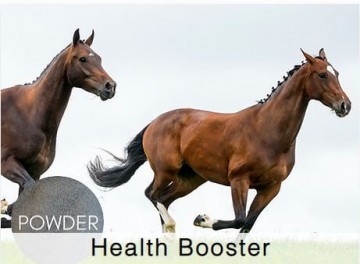 Shamrock Horse Health Booster