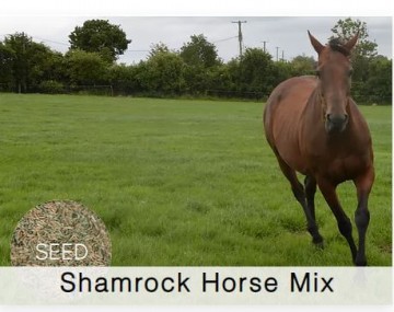 Shamrock Horse Mix Grass Seed
