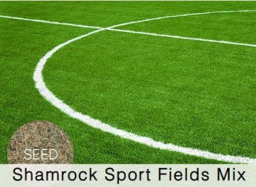 Shamrock Sports Fields Grass Seed