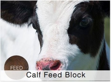 Shamrock Dairy Calf Feed Block