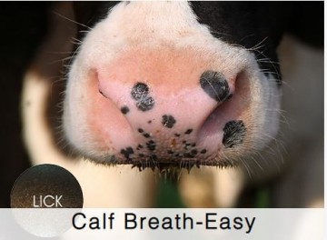 Shamrock Beef Calf Breath Easy