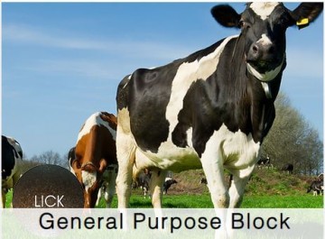 Shamrock Dairy General Purpose Block