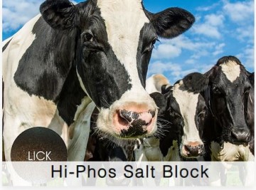 Shamrock Dairy High Phos Salt Block