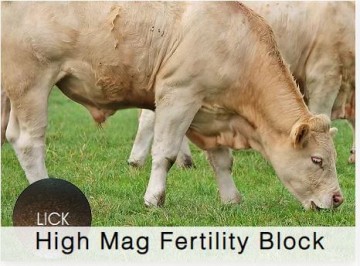 Shamrock Beef High Mag Fertility Block
