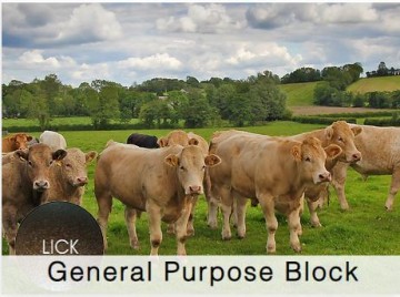 Shamrock Beef General Purpose Block