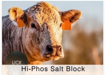Shamrock Beef High Phos Salt Block
