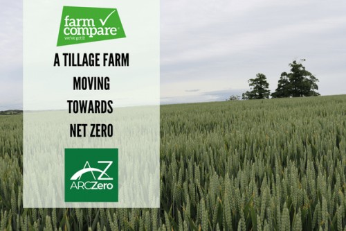 A tillage farm moving towards Net Zero