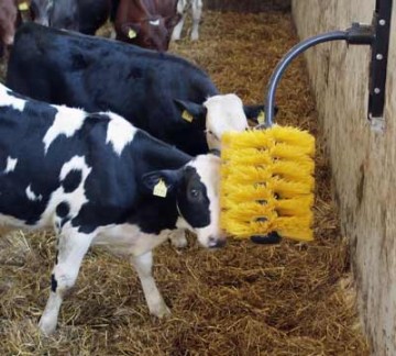 Mayo Cow Comfort Easywing Midi Brush