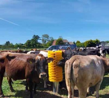 Mayo Cow Comfort Easywing Totem Brush