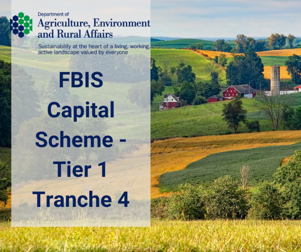 FBIS Capital Scheme - Tier 1 Tranche 4