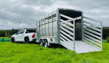 M-Tec 12x6ft Twin Axle Livestock Trailer