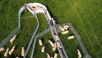 Shepherdsmate Mobile Sheep Handling Unit