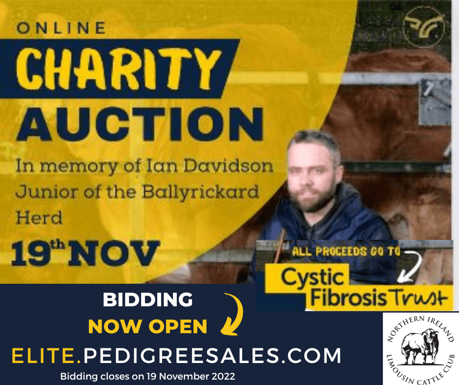 Limousin Charity Auction supporting the Cystic Fibrosis Trust