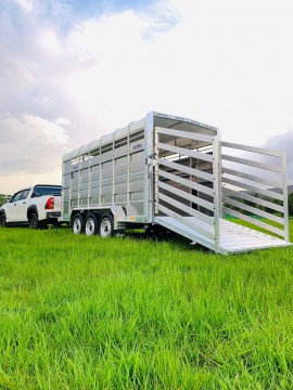 M-Tec Livestock Tri Axle Trailer 14x6ft