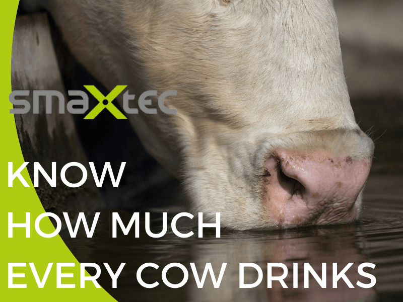 Know How Much Every Cow Drinks