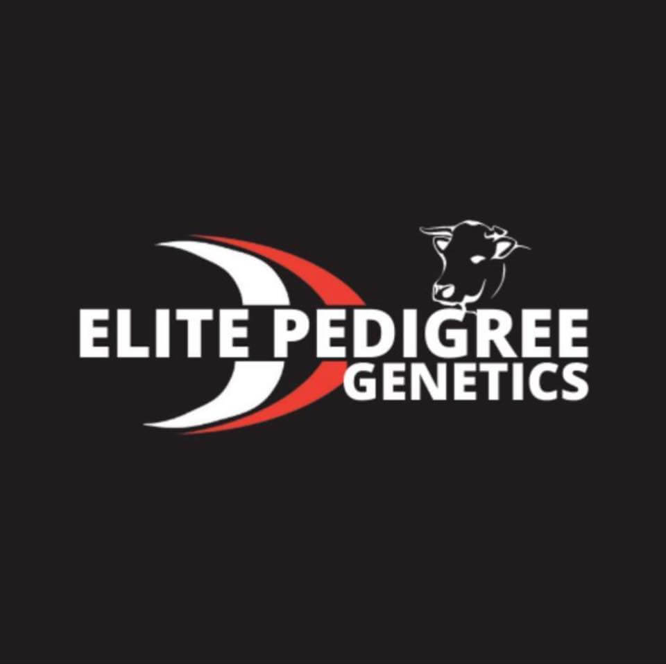 Elite Pedigree Genetics