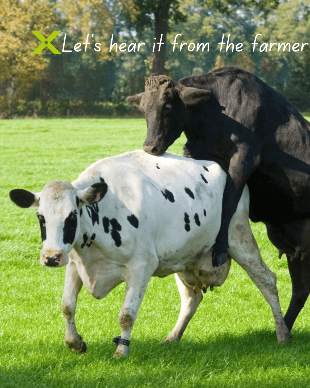 Let's Hear It From The Farmer