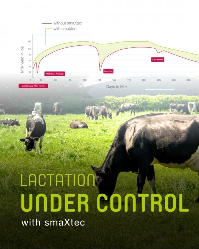 Lactation Under Control