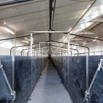 Creagh Concrete 3000mm Pig & Sheep Slats