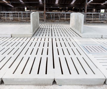 Creagh Concrete 3000mm Cattle Single 6 Rib Slats