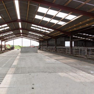 Creagh Concrete 2600mm Cattle Single 6 Rib Slats