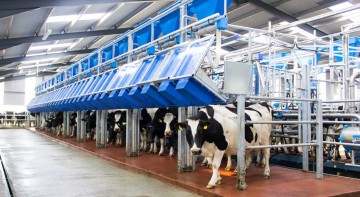 Dairymaster Swiftflo Fast Exit Parlour