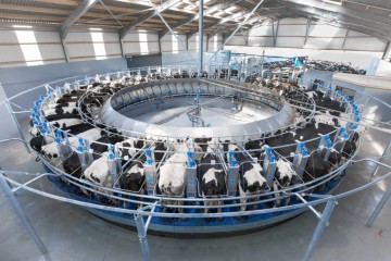 Dairymaster Swiftflo Rotary Parlour