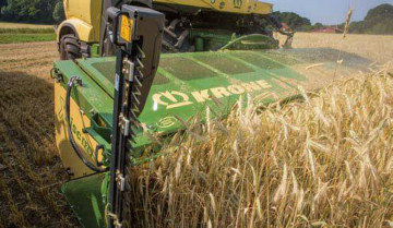 KRONE  Wholecrop XDisc 620 Header