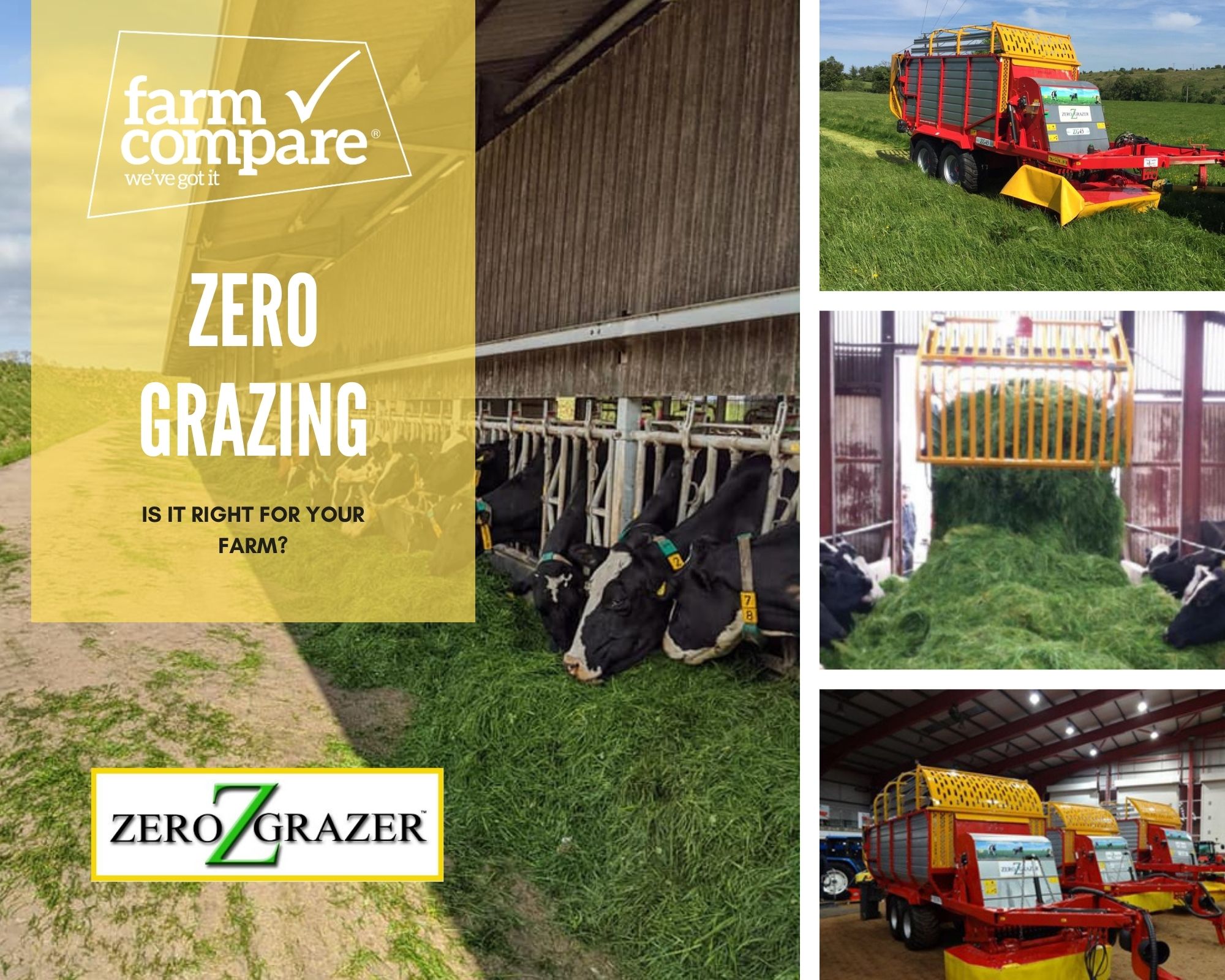 Growing interest in zero–grazing