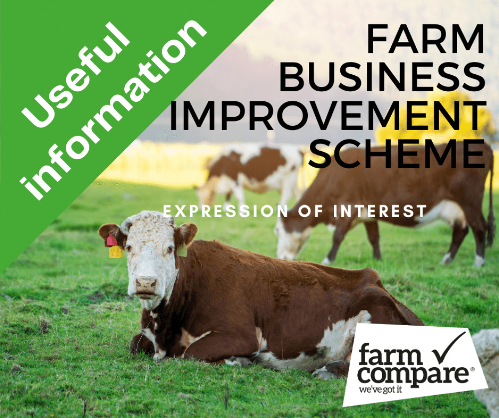 FBIS Capital Scheme - Tier 2 Tranche 2 – Expression Of Interest Stage| Farm Compare