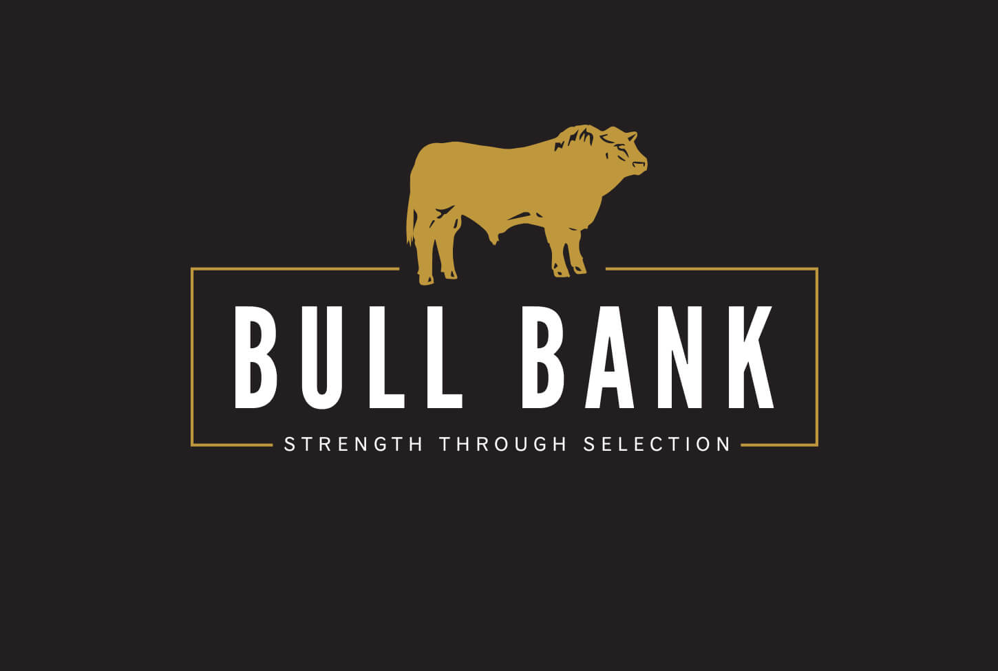 BullBank